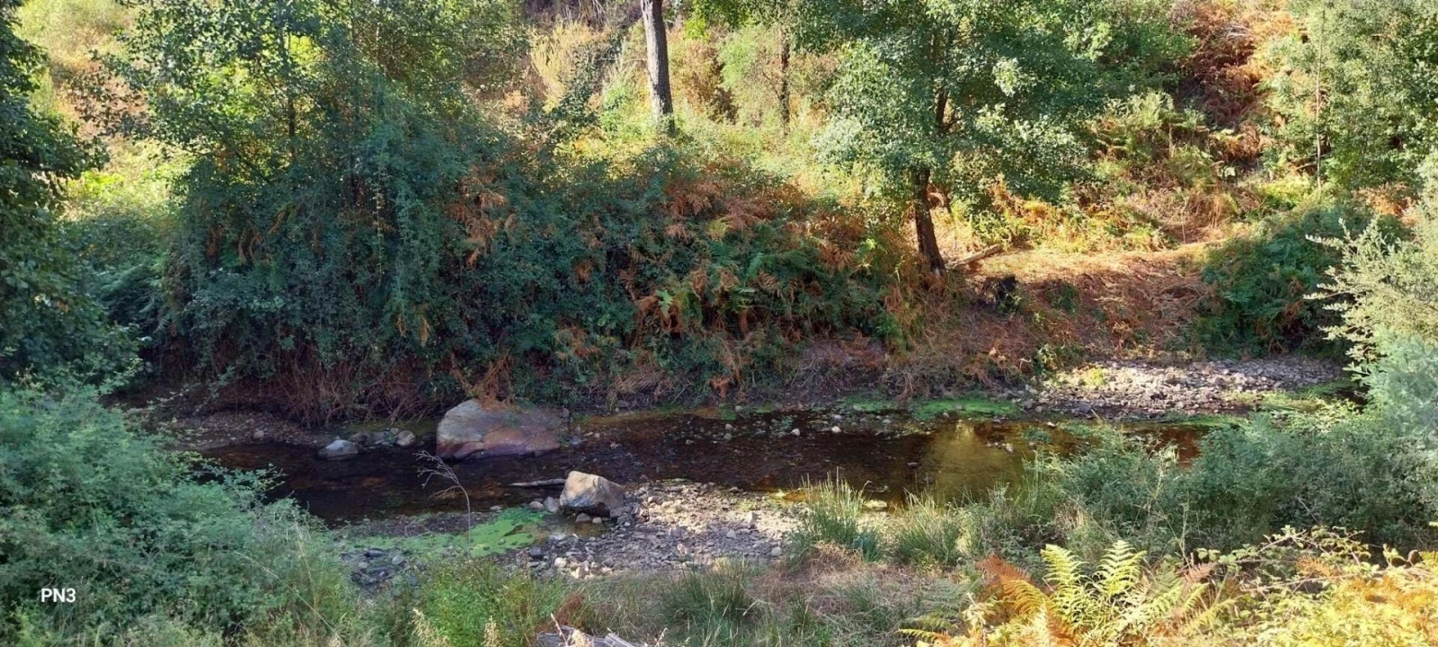 Terreno para Venda em Alferce Foto 20