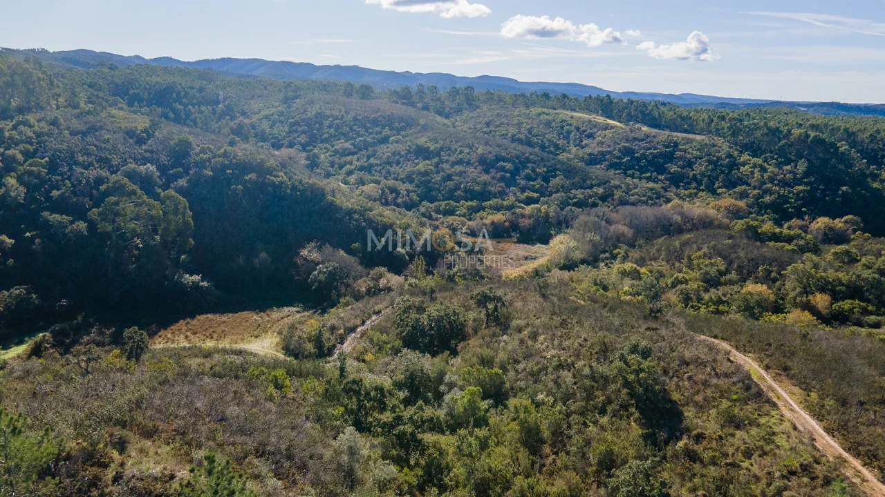 Terreno para Venda em Aljezur Foto 18