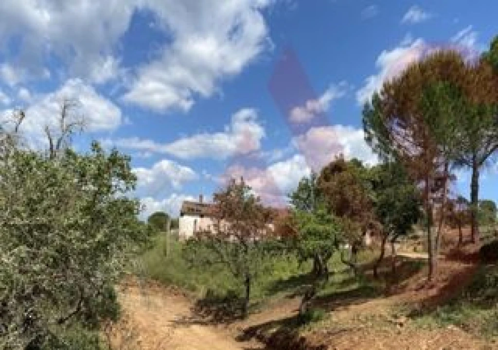 Quinta T0 para Venda em São Bartolomeu de Messines Foto 2