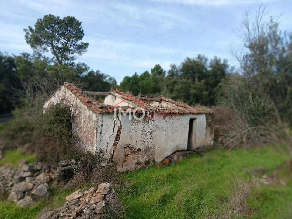 Quinta T3 para Venda em São Salvador da Aramenha Foto 4