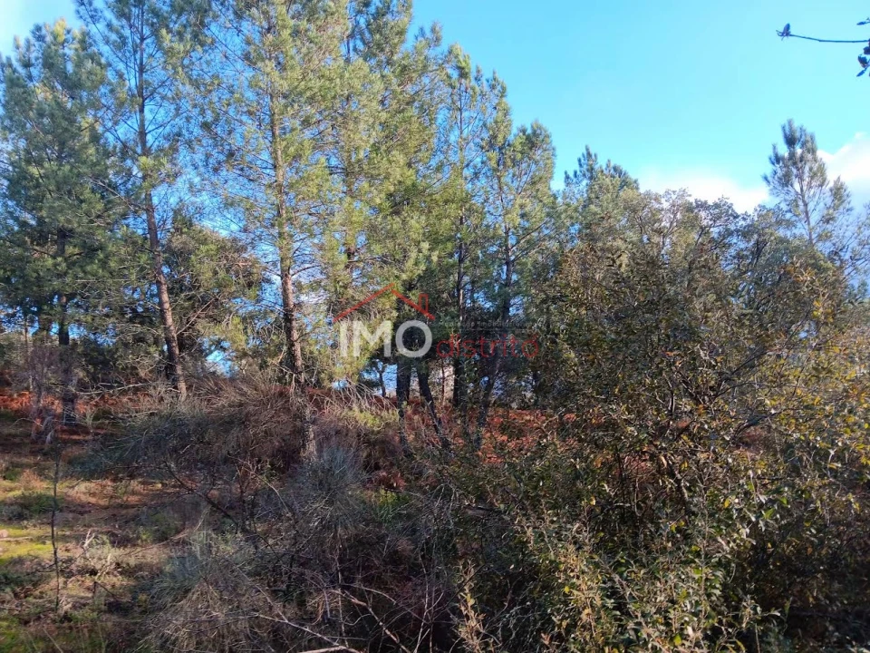 Quinta T3 para Venda em São Salvador da Aramenha Foto 16
