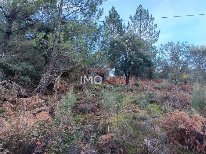 Quinta T3 para Venda em São Salvador da Aramenha Foto 14