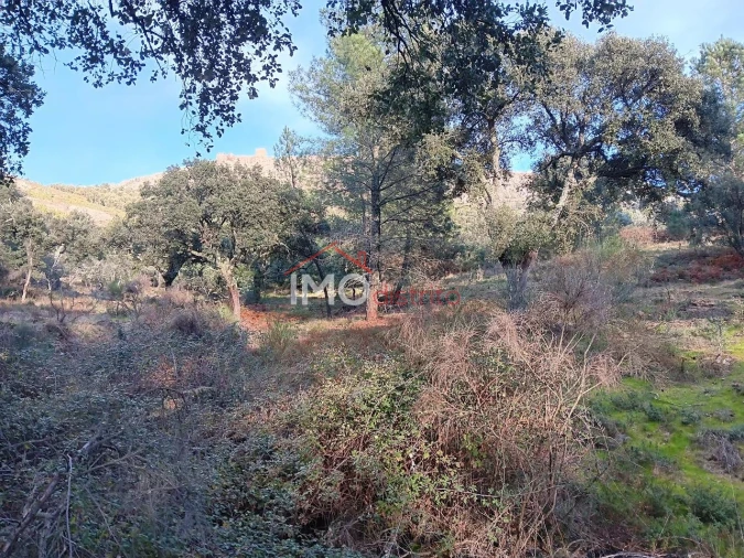 Quinta T3 para Venda em São Salvador da Aramenha Foto 15