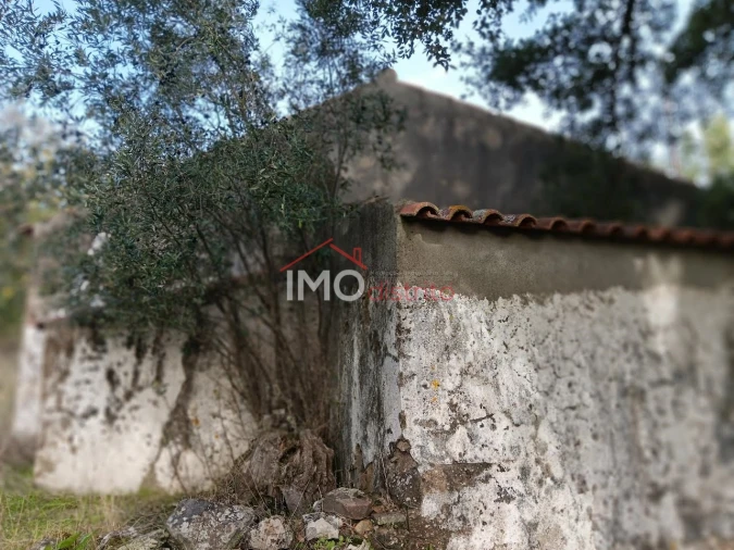 Quinta T3 para Venda em São Salvador da Aramenha Foto 5