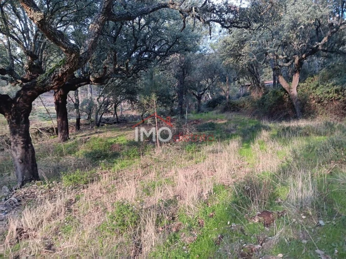 Quinta T3 para Venda em São Salvador da Aramenha Foto 12