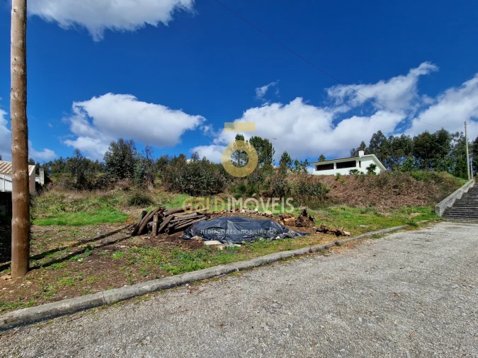 Terreno para Venda em Canedo, Vale e Vila Maior