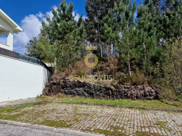 Terreno para Venda em Canedo, Vale e Vila Maior