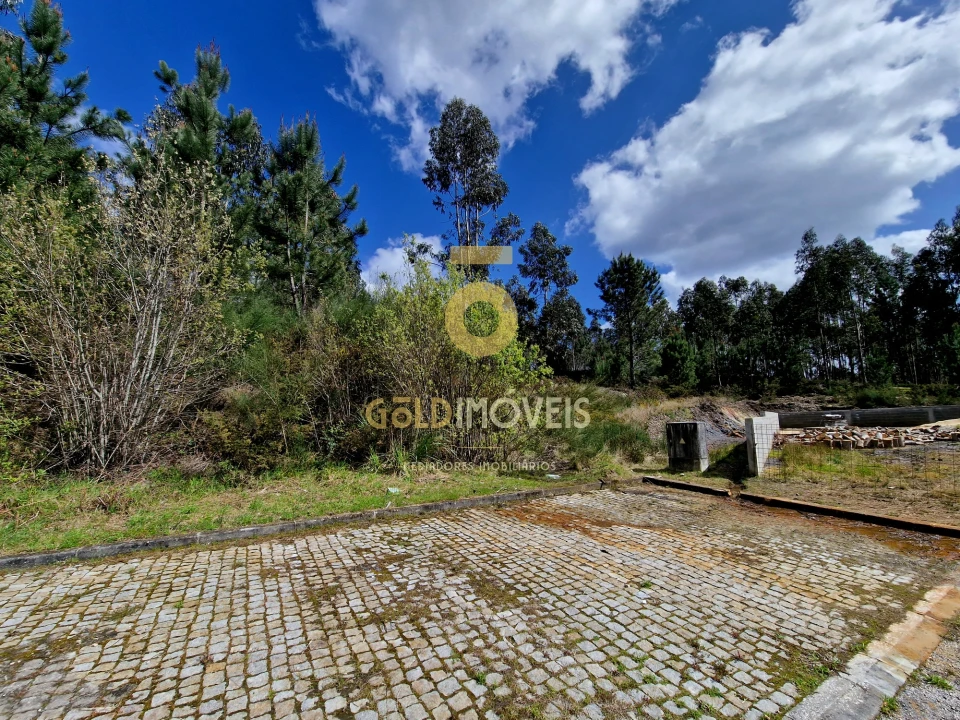 Terreno para Venda em Canedo, Vale e Vila Maior Foto 1
