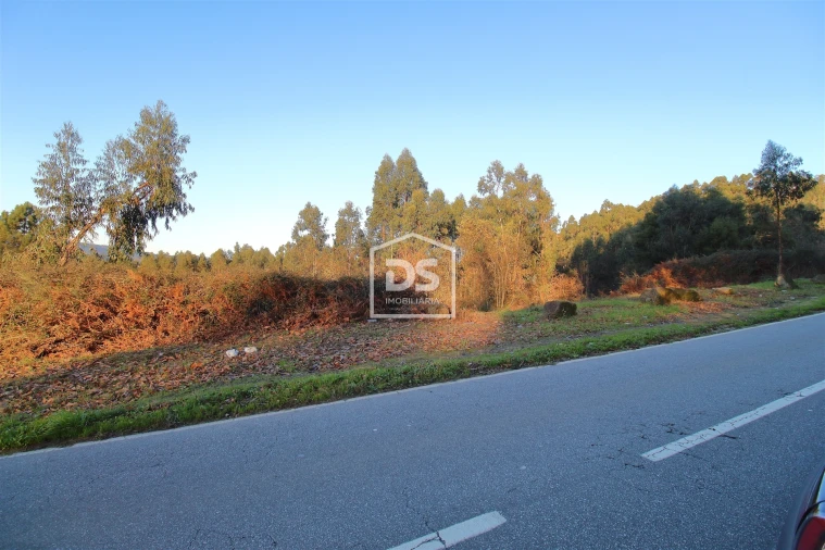 Terreno para Venda em Aveleda Foto 3