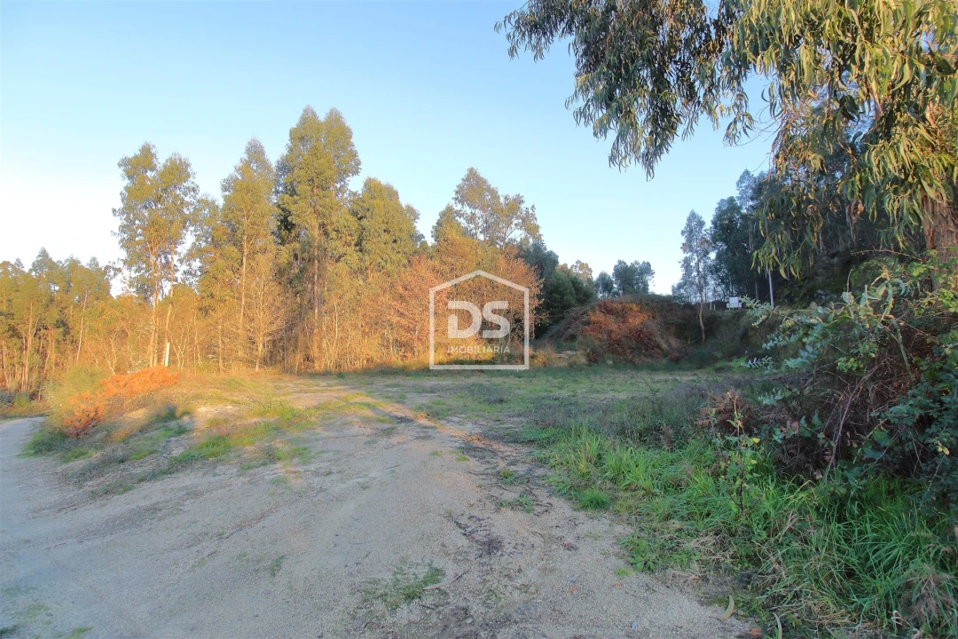 Terreno para Venda em Aveleda Foto 11