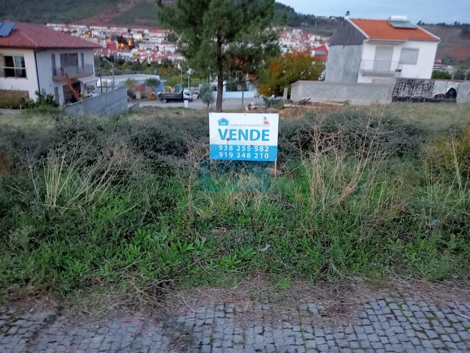 Terreno para Venda em Vila Flor e Nabo Foto 6