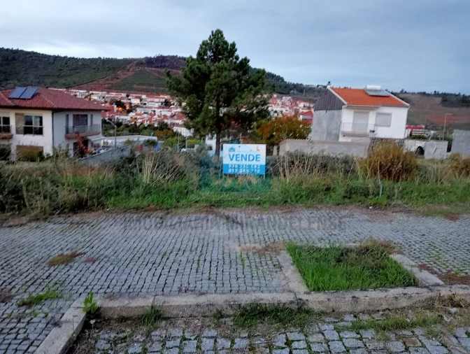 Terreno para Venda em Vila Flor e Nabo Foto 4