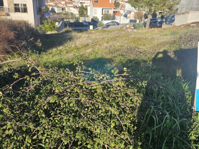 Terreno para Venda em Vila Flor e Nabo Foto 5