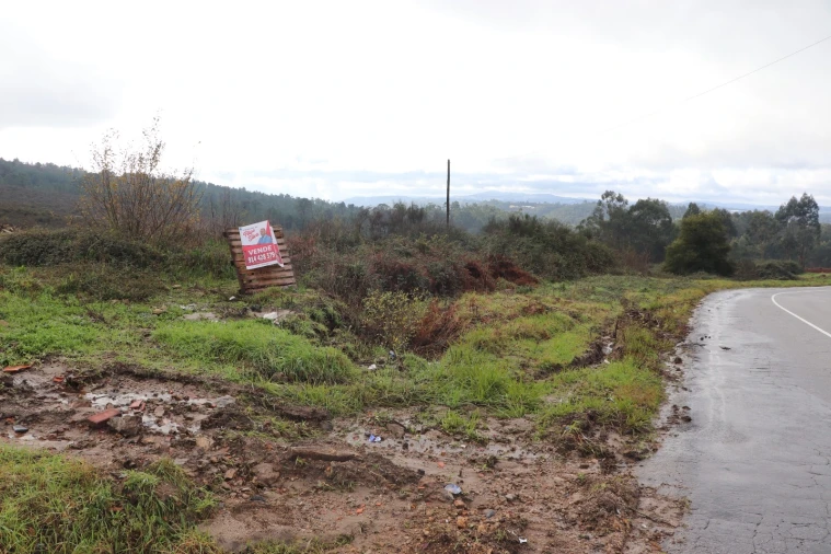 Terreno para Venda em Lustosa e Barrosas (Santo Estêvão) Foto 5
