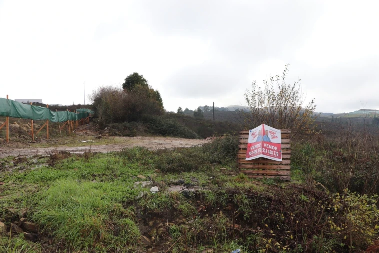 Terreno para Venda em Lustosa e Barrosas (Santo Estêvão) Foto 4
