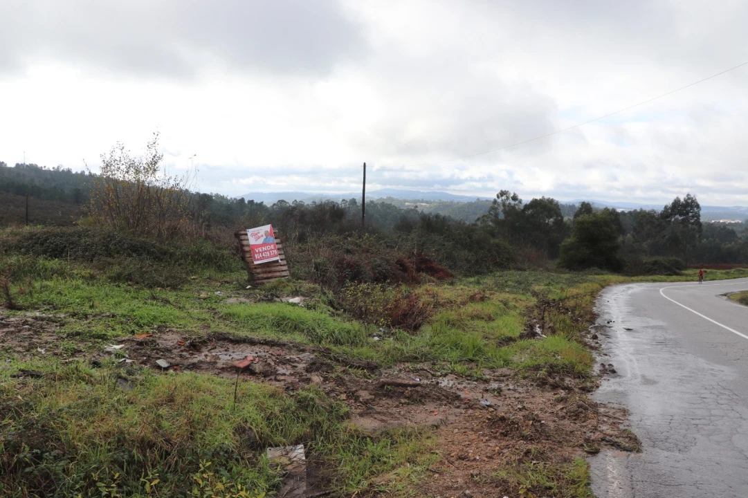Terreno para Venda em Lustosa e Barrosas (Santo Estêvão) Foto 9