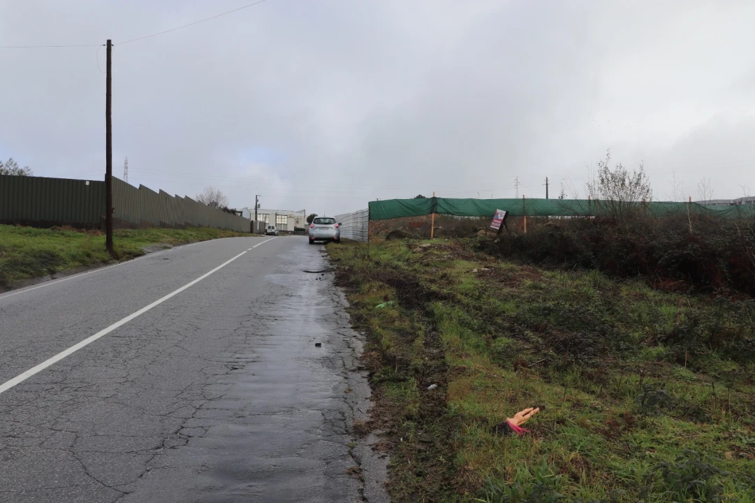 Terreno para Venda em Lustosa e Barrosas (Santo Estêvão) Foto 6