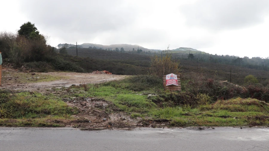 Terreno para Venda em Lustosa e Barrosas (Santo Estêvão)