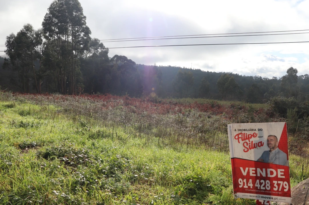 Terreno para Venda em Lustosa e Barrosas (Santo Estêvão) Foto 5