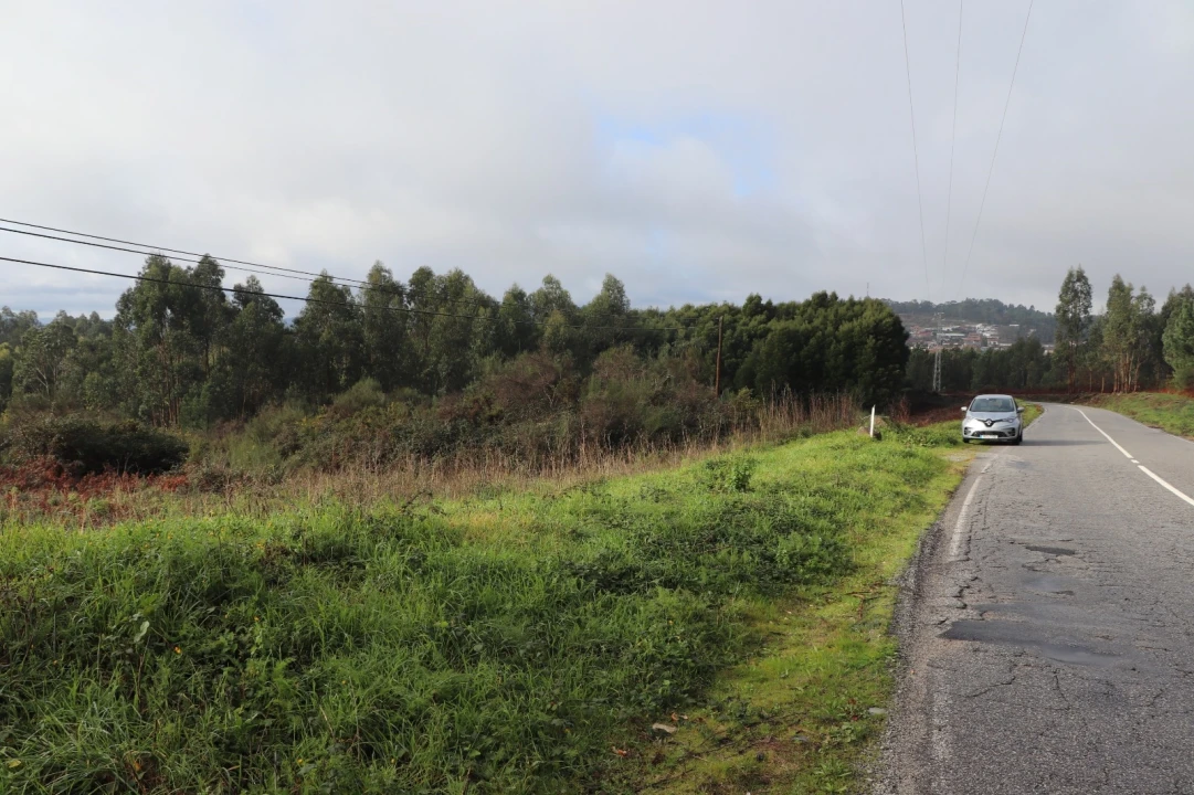 Terreno para Venda em Lustosa e Barrosas (Santo Estêvão) Foto 4