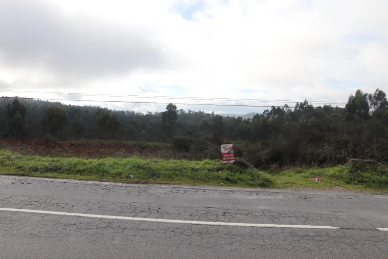 Terreno para Venda em Lustosa e Barrosas (Santo Estêvão) Foto 7