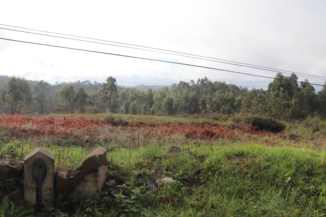 Terreno para Venda em Lustosa e Barrosas (Santo Estêvão) Foto 3