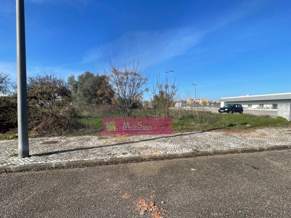 Terreno P/ Prédio para Venda em São João Baptista Foto 4