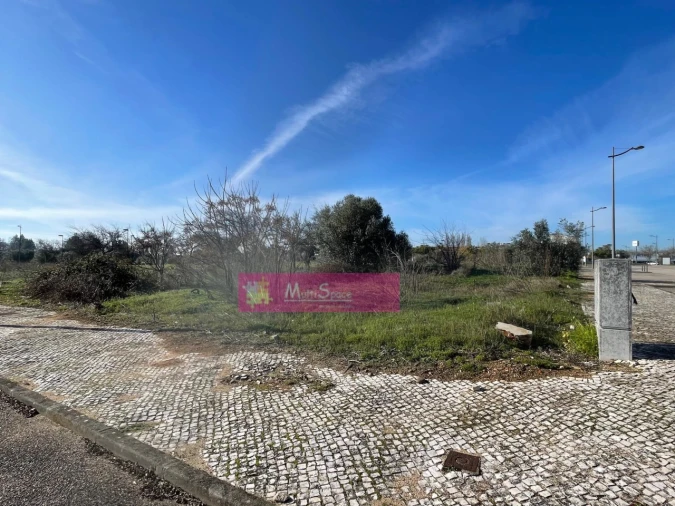 Terreno P/ Prédio para Venda em São João Baptista Foto 3