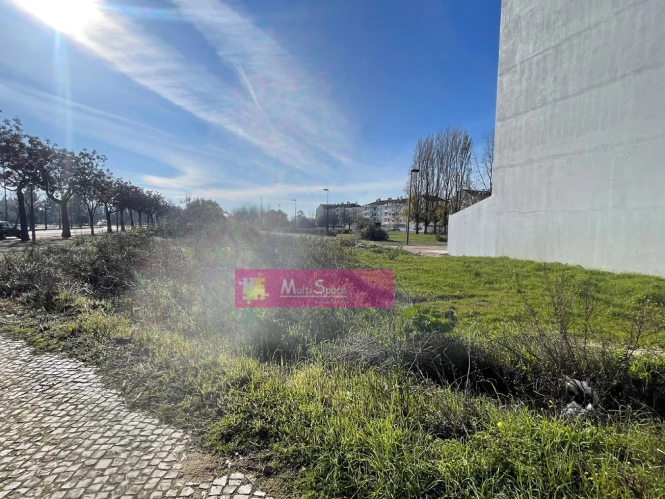 Terreno P/ Prédio para Venda em São João Baptista Foto 1