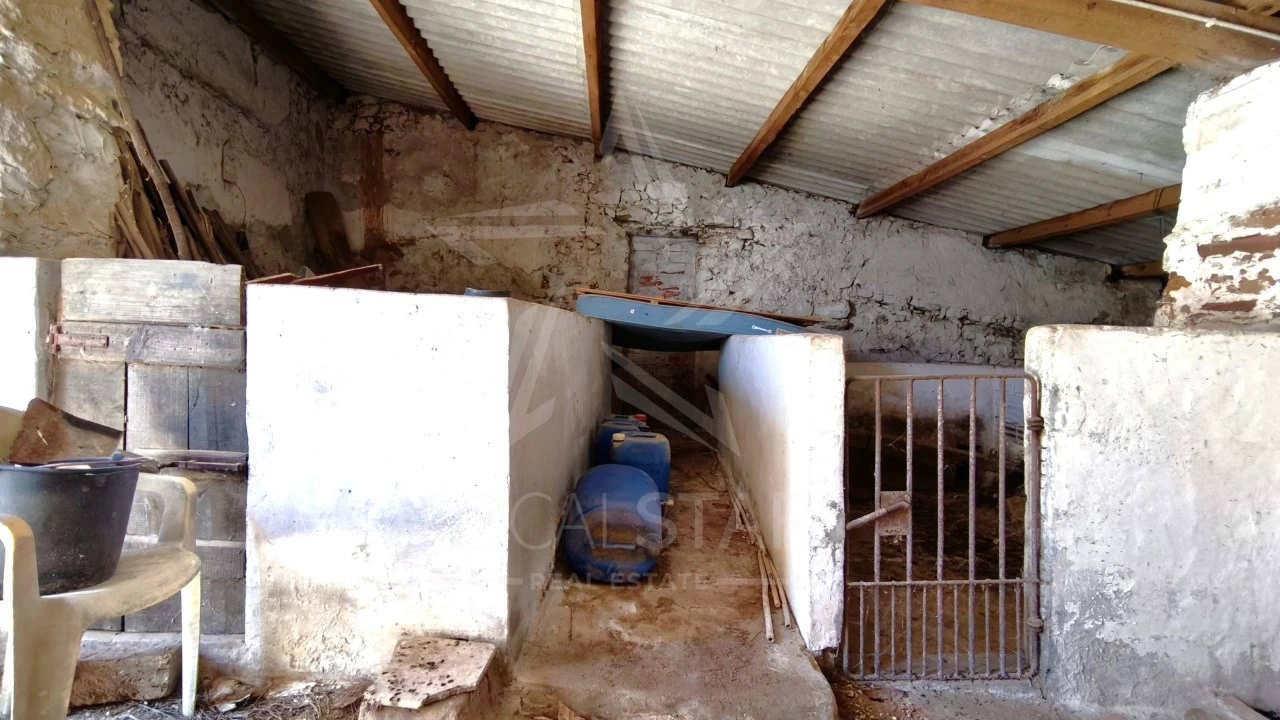 Armazém para Venda em Alvorninha Foto 3