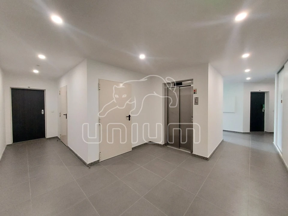 Apartamento T1 para Venda em Santa Marta de Portuzelo Foto 7