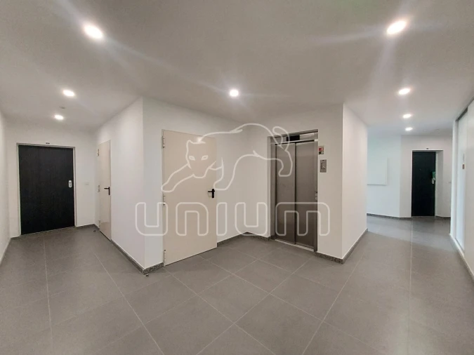 Apartamento T1 para Venda em Santa Marta de Portuzelo Foto 7