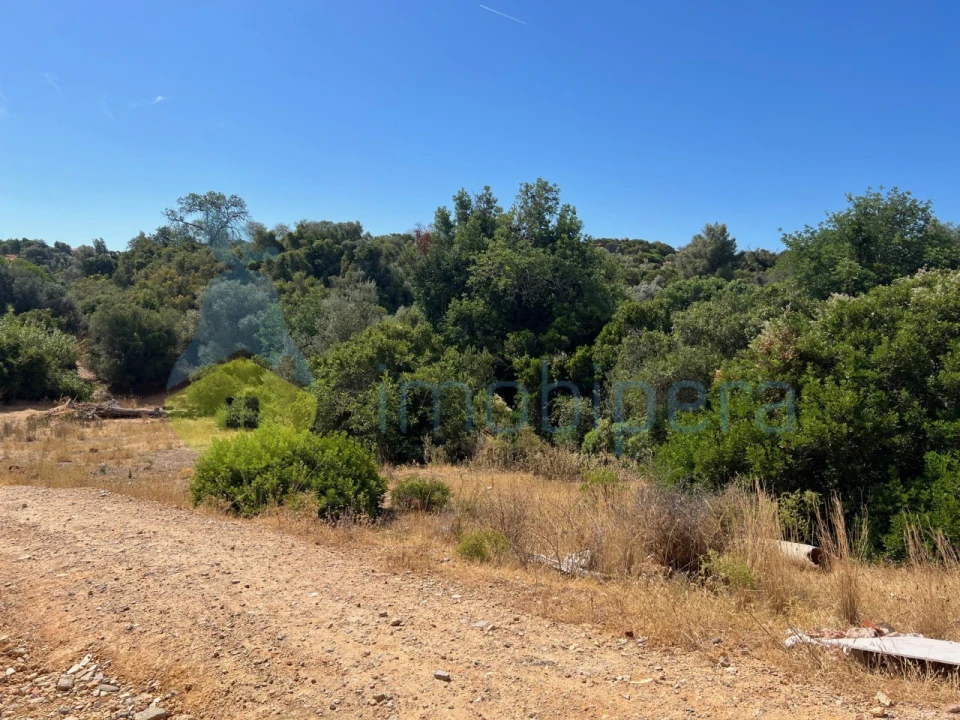 Terreno Agricola ou Rústico para Venda em Ferreiras Foto 1