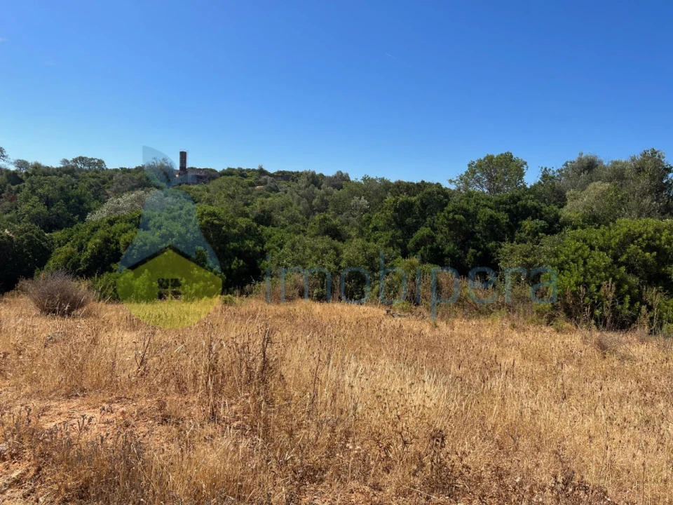 Terreno Agricola ou Rústico para Venda em Ferreiras Foto 2
