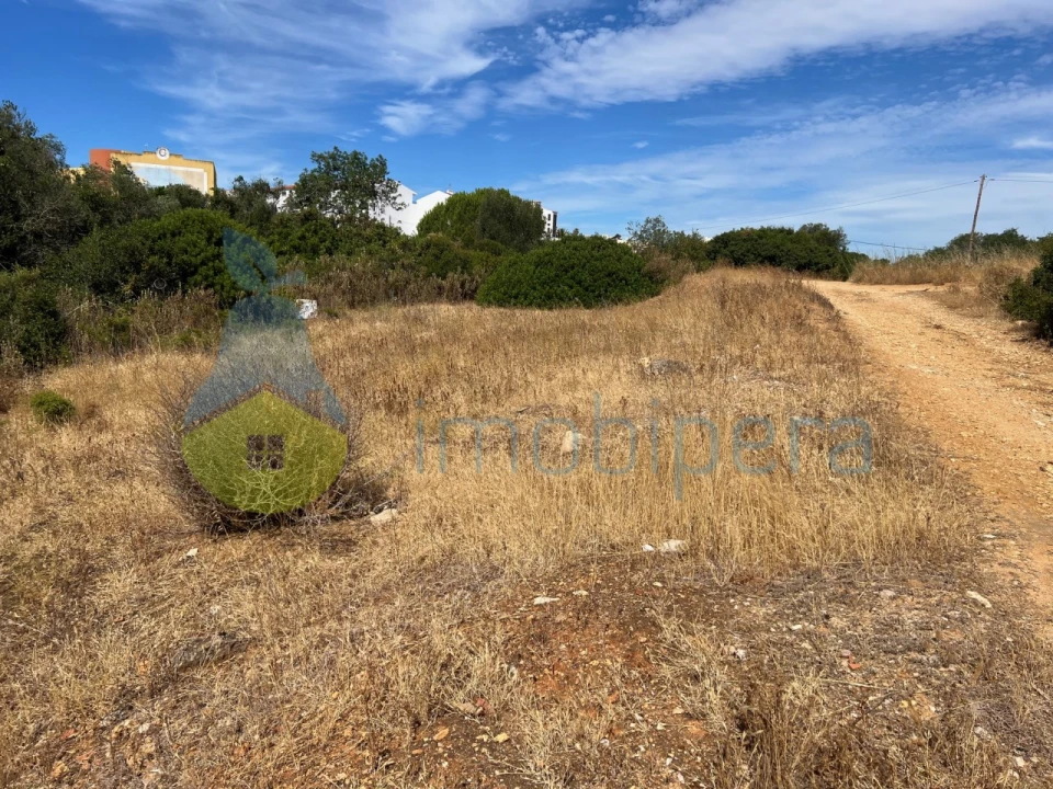 Terreno Agricola ou Rústico para Venda em Ferreiras Foto 6