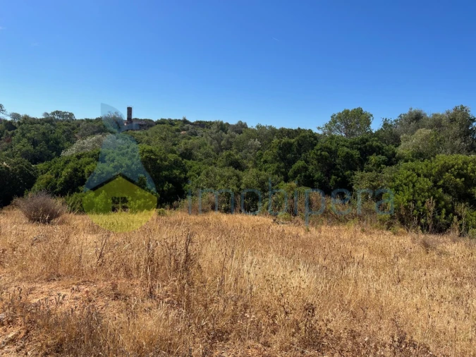 Terreno Agricola ou Rústico para Venda em Ferreiras Foto 2