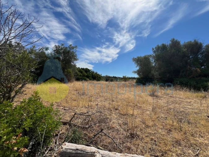 Terreno Agricola ou Rústico para Venda em Ferreiras Foto 4