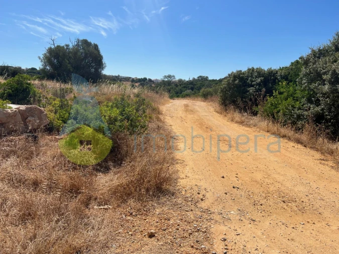 Terreno Agricola ou Rústico para Venda em Ferreiras Foto 7