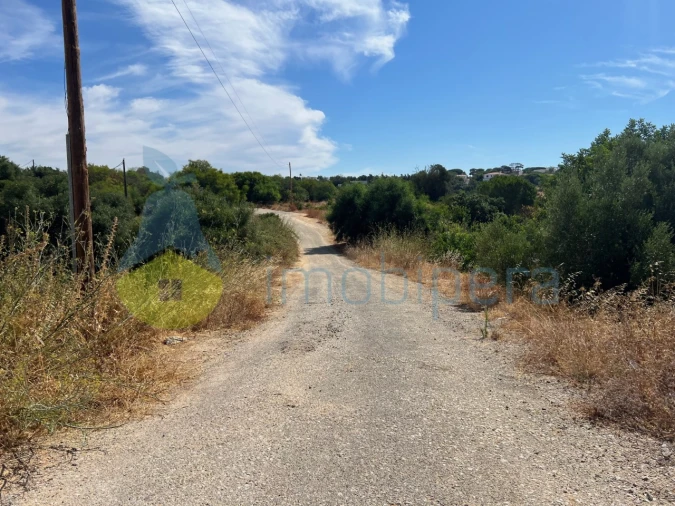 Terreno Agricola ou Rústico para Venda em Ferreiras Foto 8