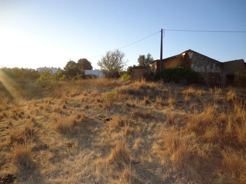 Terreno Misto para Venda em Ferreiras Foto 3