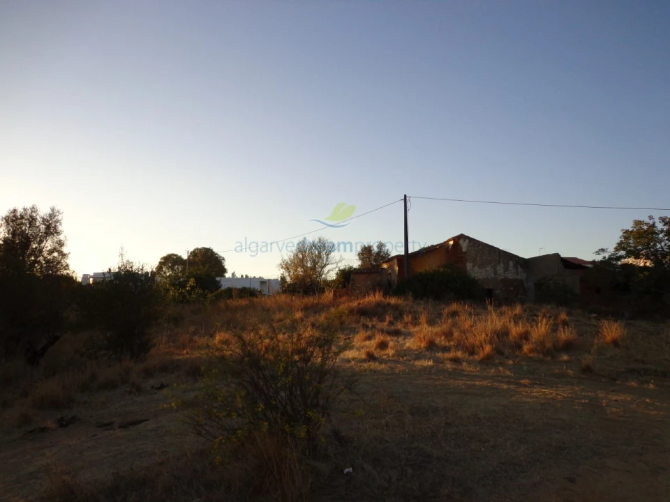 Terreno Misto para Venda em Ferreiras Foto 6