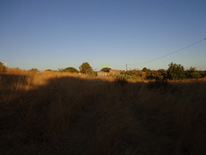 Terreno Misto para Venda em Ferreiras Foto 2