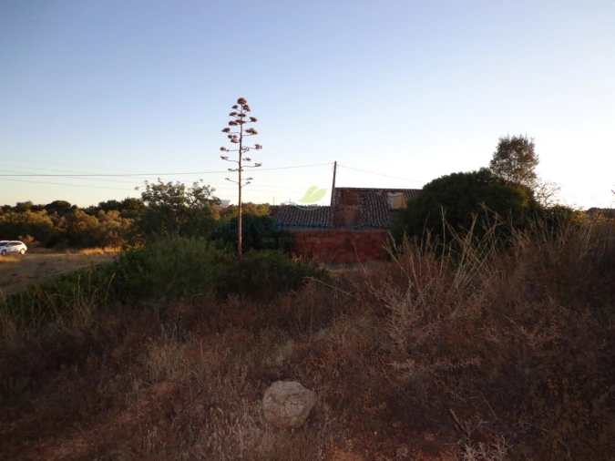 Terreno Misto para Venda em Ferreiras Foto 4