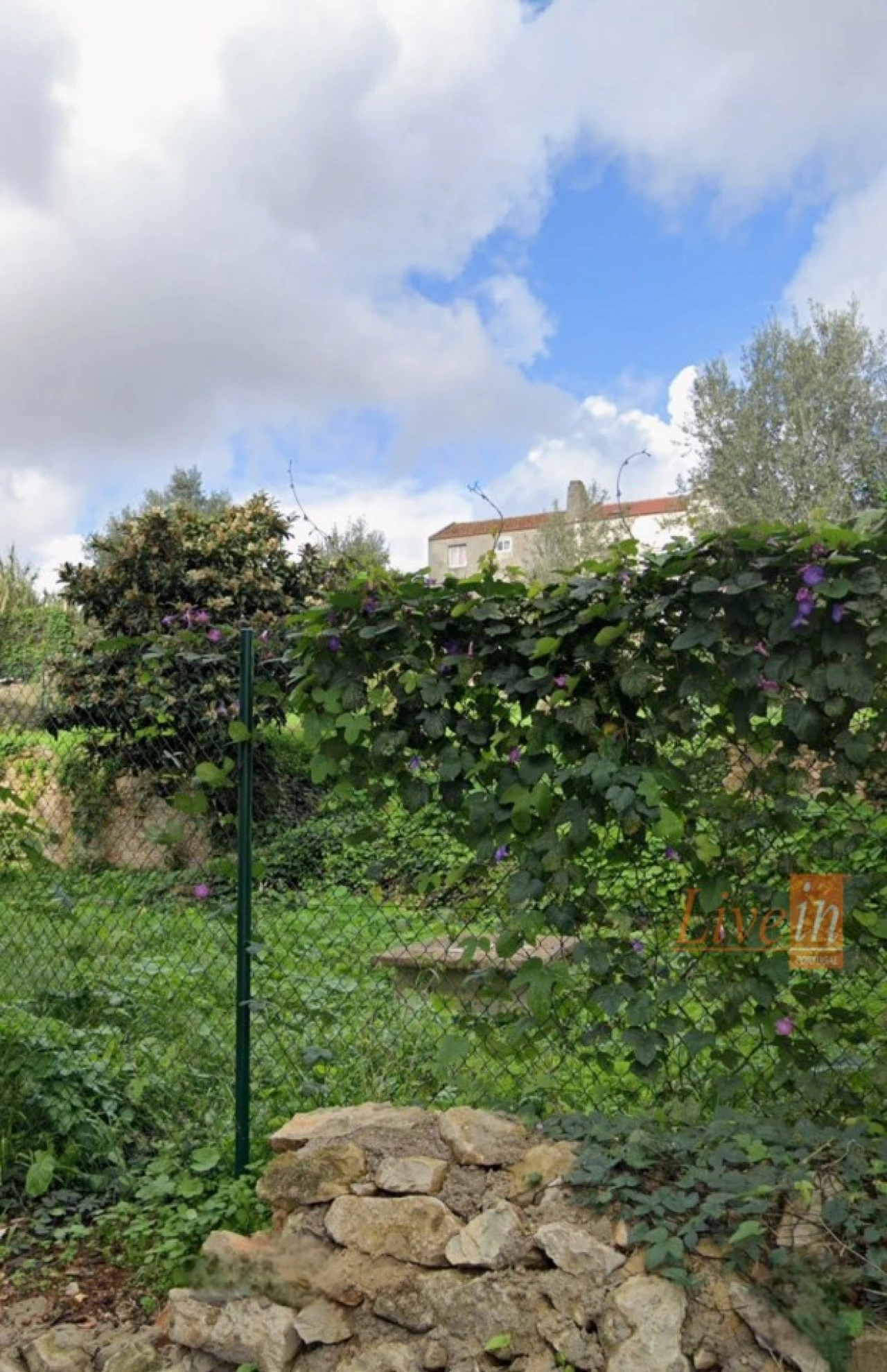 Terreno para Venda em Cacém e São Marcos Foto 11