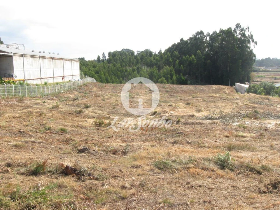 Terreno Agricola ou Rústico para Venda em Rio Meão Foto 5