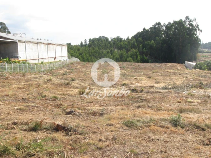 Terreno Agricola ou Rústico para Venda em Rio Meão Foto 12