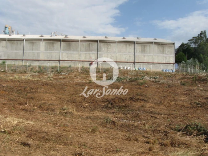 Terreno Agricola ou Rústico para Venda em Rio Meão Foto 9