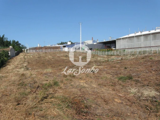 Terreno Agricola ou Rústico para Venda em Rio Meão Foto 3