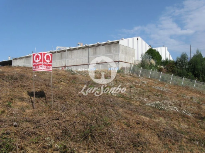 Terreno Agricola ou Rústico para Venda em Rio Meão Foto 15