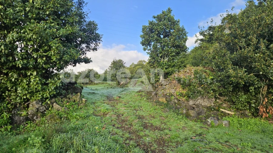 Terreno para Venda em Fajã de Baixo Foto 8